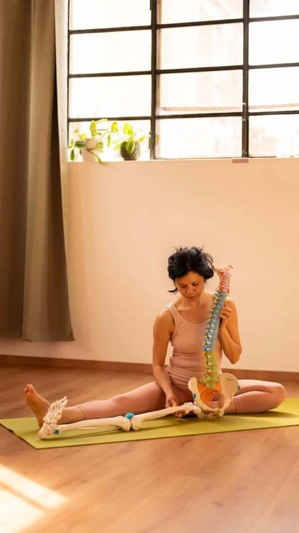 serie anatomia