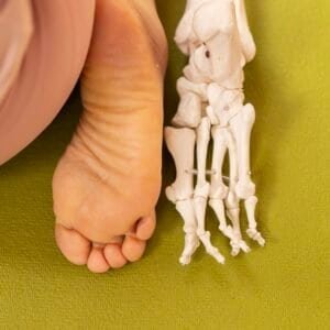 Yin yoga e anatomia TT