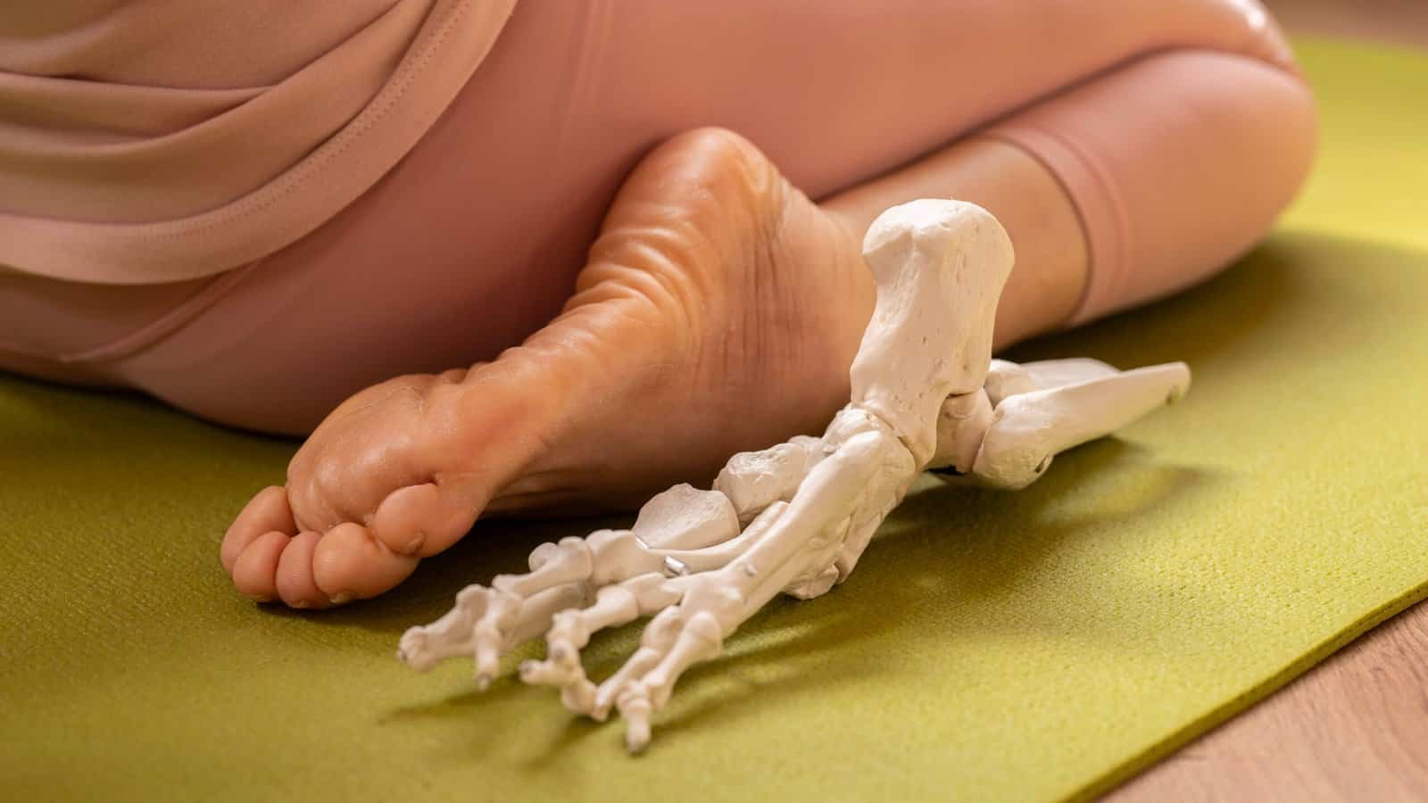 yin yoga e anatomia TT